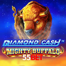 Interface Premium 55bet